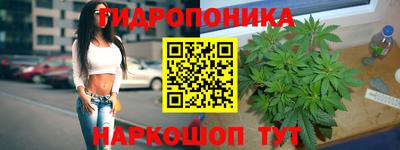 бошки Новодвинск