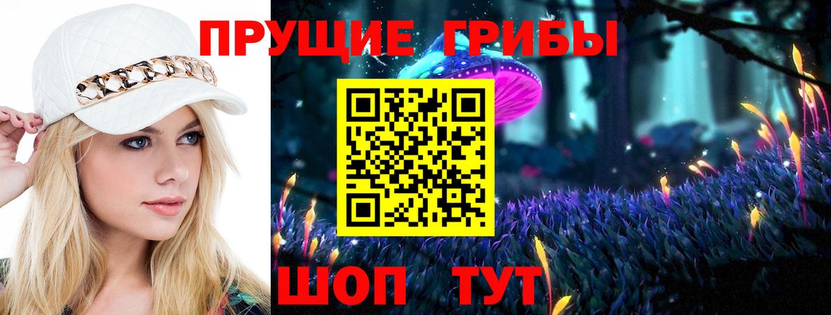 Псилоцибиновые грибы ЛСД Тайшет
