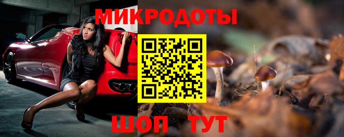 Тайшет  Галлюциногенные грибы Cubensis  Вход с VPN 